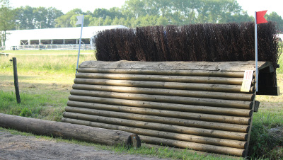 sgwhindernissen bulfin met bezemborstel