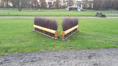 sgwhindernissen dubbele haag lang